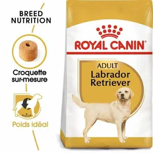 Croquette chien labrador adult rc 12 kg