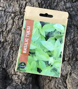 Sachet De Graines Basilic Tulsi