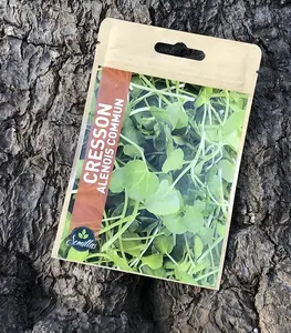 Sachet De Graines Cresson Alenois Commun