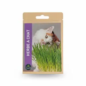 Sach.Herbe Pour Chats