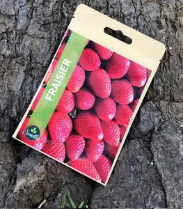 Sachet De Graines Fraisier