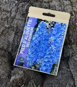 Sachet De Graines Pied D'Alouette -Delphinium –