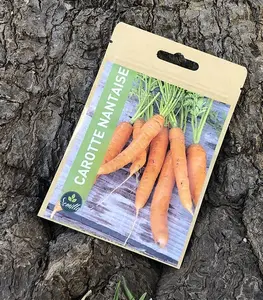Sachet De Graines Carotte Nantaise