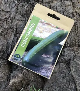 Sachet De Graines Concombre