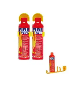 Extincteur incendie 500gr