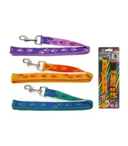 Kit Collier Et Laisse Pour Chien