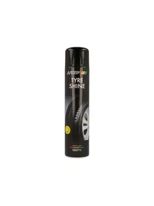 Aérosol type shine 600 ml