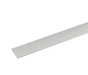 Profil Plat Argent 1000X20