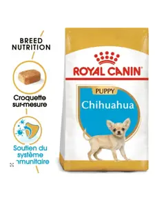 Croquette chihuahua puppy pour chiot 1,5 kg