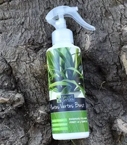 Plantes Vertes Boost Smart Garden 250Ml