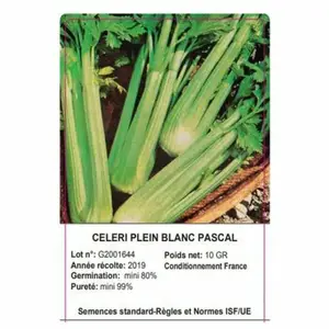 Sachet Celerie Blanc 10 Grammes