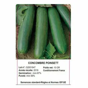 Sachet Concombre Poinsett 10 Grammes
