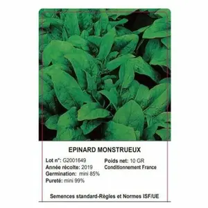 Sachet Epinard Monstrueux 10 Grammes