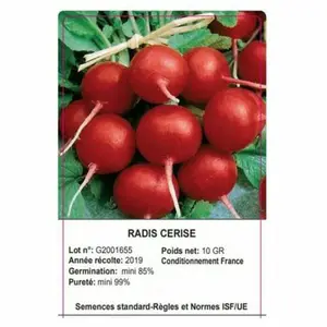 Sach.Radis.Cerise10Gr