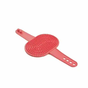Brosse pour chien et chat poils courts 27×13.5×1 cm
