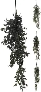 Plante Suspendue Hauteur 80 Cm Disponible En 4 Modèles