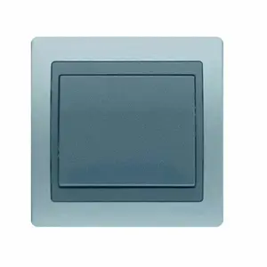 Interrupteur gris argent jade+plaque