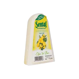 Désodorisant gel 130 g citron-sental