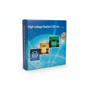 RUBAN LED NEON DBL120LED/M B/CH 100M