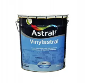 Vinylastral Blanc Mat Pour Travaux De Façade Et D'Intérieur 5Kg