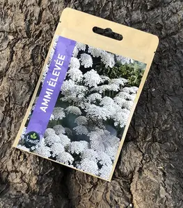 Sachet De Graines Ammi Élevée