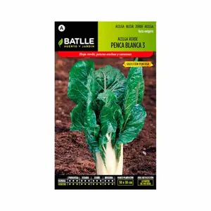 Graines De Bette Verte Et Blanche