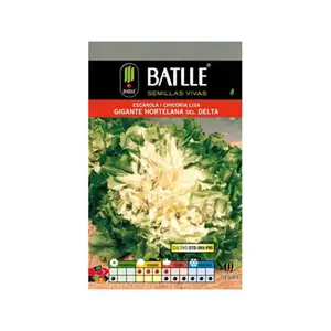 Graines De Scarole Geantes De Jardin