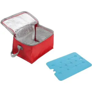 Sac Isotherme Avec Élément Réfrigérant