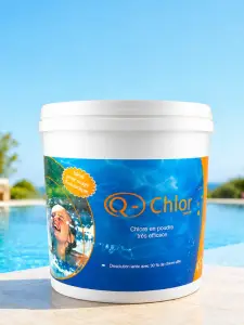 Chlore en poudre 90% 5 kg