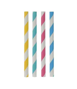 Pailles Papier 12Cm – S/48Pcs