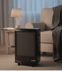 Chauffage mobile à gaz catalyse 300 W