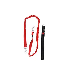 Laisse Pour Chien 115 Cm