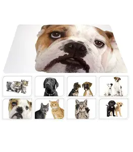 Set De Table Pour Animaux 37X56Cm