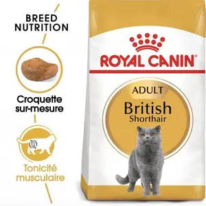 Croquette british short hair 2kg – royal canin