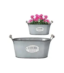 Jardinière Décorative Ovale Pour Fleurs
