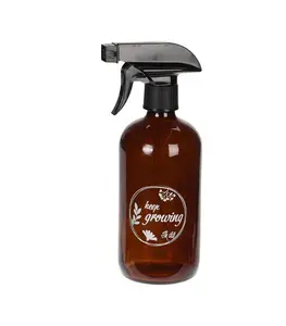 Pulvérisateur De Fleur En Verre 500Ml