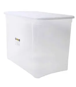 Boîte de rangement solide 67 L 58×38,5x43cm