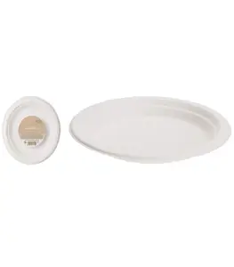 Assiette canne à sucre