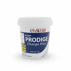 Enduit Prodige Charge Plus 1 Kg Pate