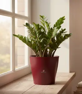 Pot plastique rouge
