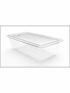 Organisateur réfrigérateur avec couvercle 30x15x14,5cm