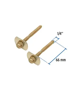 Set De 2 Vis De Montage Des Toilettes 6,4X66 Mm