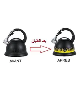 Bouilloire 3L