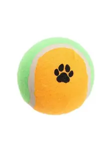 Balle pour chien de 10 cm