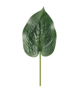 Feuille artificielle hosta quince l vert 42 cm