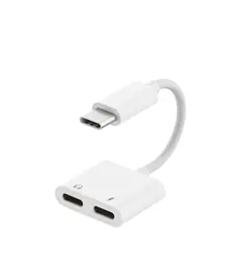 Adaptateur type-C/type-C + type-C REVOOX