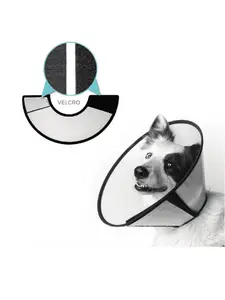 Collier chirurgical avec velcro et bordure taille XL