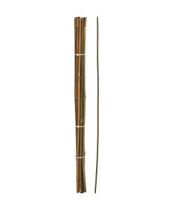 Set De 10 De Bâtons De Jardin En Bambou 60Cm