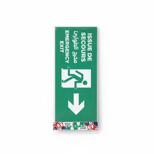 Issue De Secours A Droite 28,5X12,5 Cm