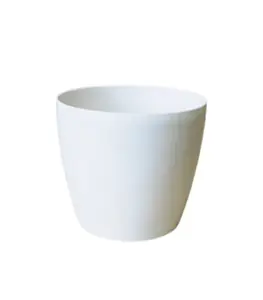 Pot De Fleur Magnolia 300 Mm Blanc Perle